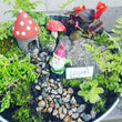 Fairy Garden make and take Workshop Sunday June 2nd 2 pm